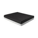 Comfort Foam Cushion 18*18_gallery_12