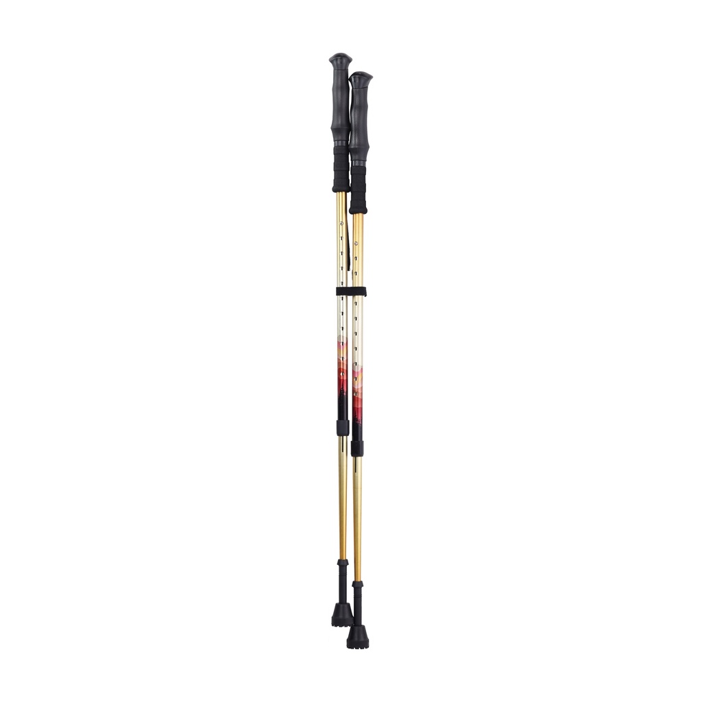 Summit Walking Poles_image_12