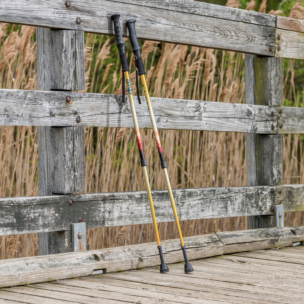 Summit Walking Poles_image_18