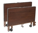 Delta Ultra Light Full Electric Low Bed (No Rails and No Mattress)_image_13